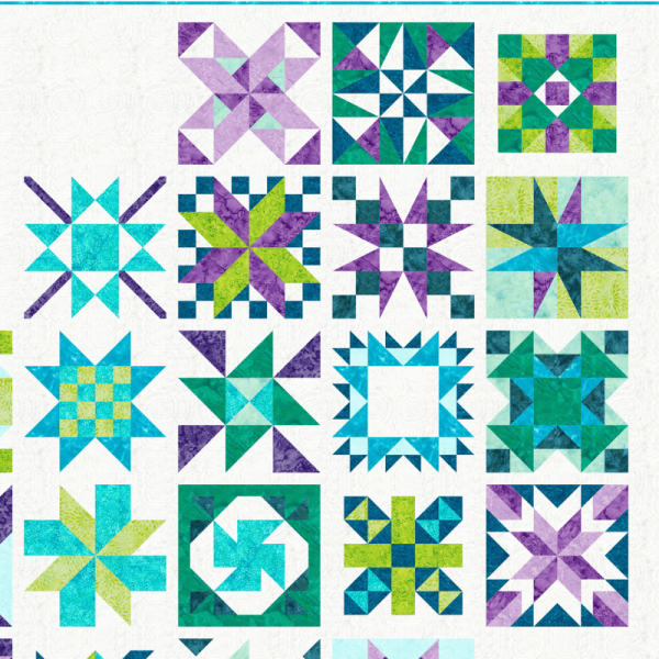 Precut! Sisterhood Block of the Month - Begins June 2025 Discount - Image 4