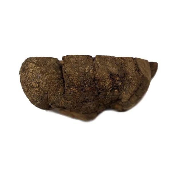 Kaniste Burl  6  x 5  x 4  , 5 lbs |  #418 Online Hot Sale