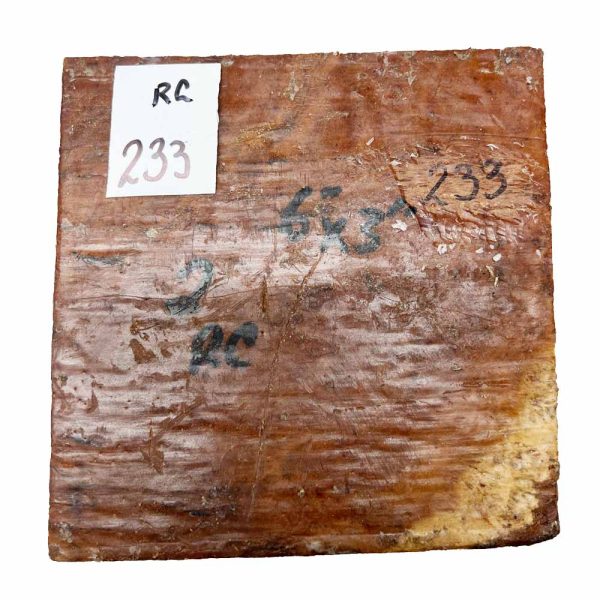 Red Coolibah Burl Bowl 6  x 6  x 3  2 lbs  #233 Online Sale - Image 2