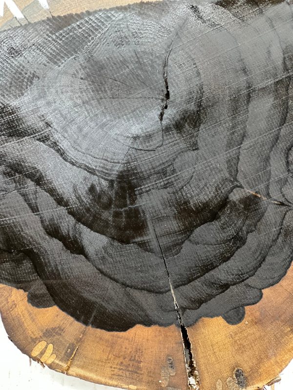 Ziricote Live Edge Slab Cookies - 16 x 12 x 2  #218 Online Hot Sale - Image 4